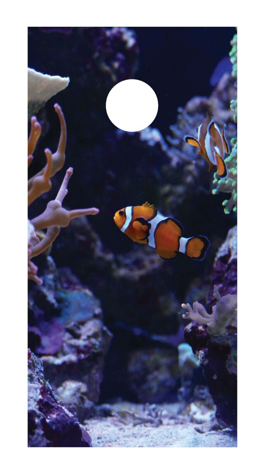Corn Hole Board Wrap - Fish Tank Set Cornhole