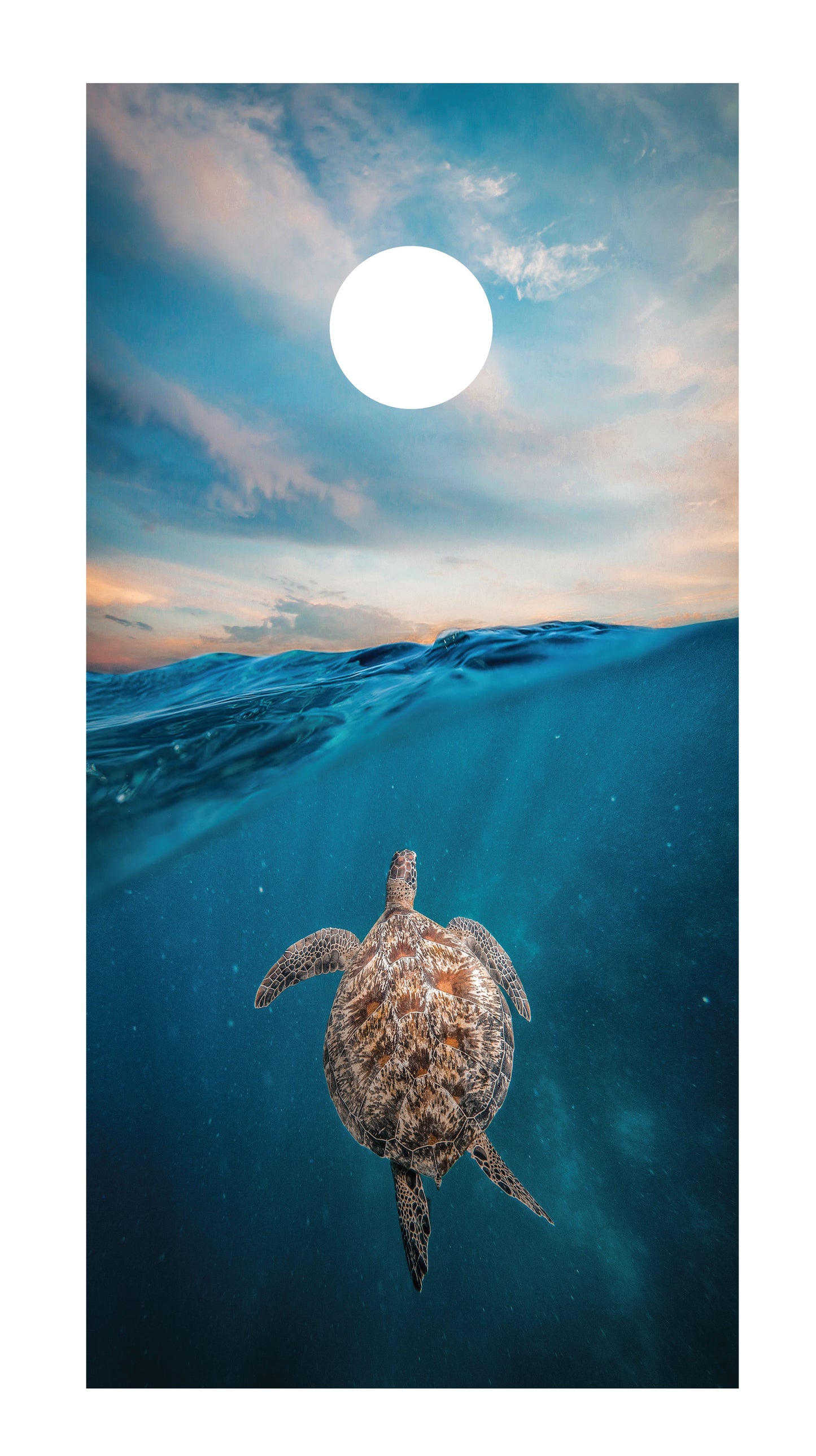 Sea Turtle Cornhole Board Skins (Pair)