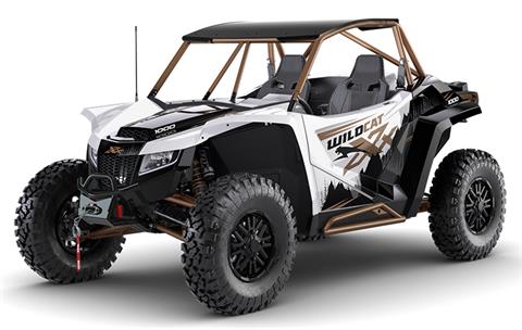Arctic Cat