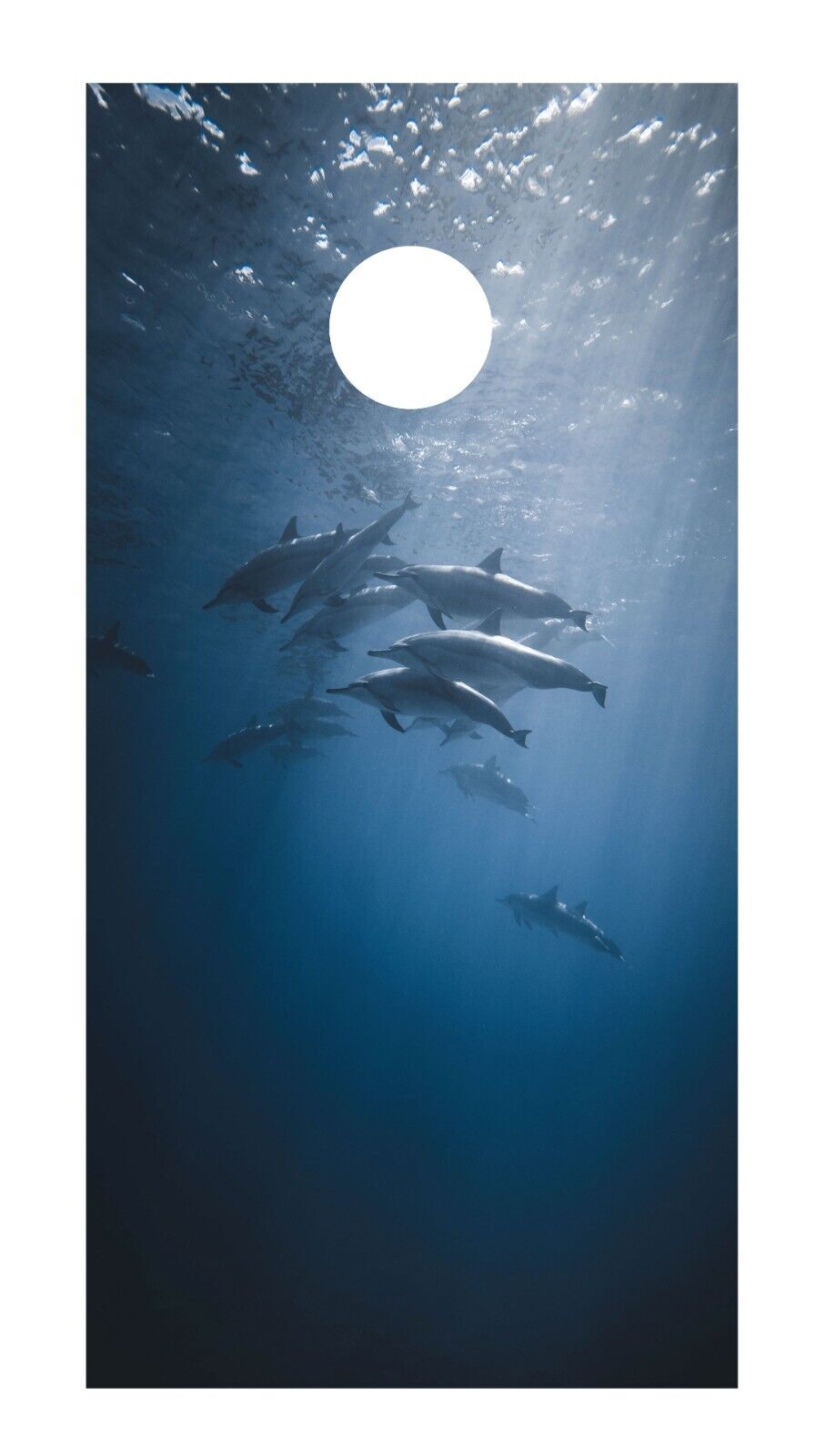 Corn Hole Board Wrap - Dolphin - Set Cornhole Skin
