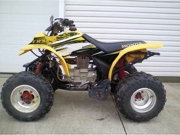 2001 - 2004 Honda TRX 250 EX Graphics Kit - Pro Ed D35-2 Yellow