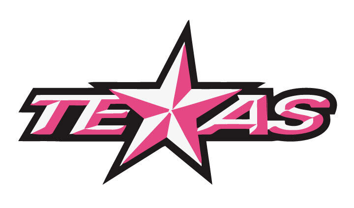 Texas Stars AHL Decal ~ Vinyl D2