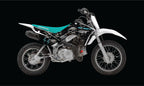 2019 - 2021 Honda CRF110 Graphics Kit - Pro Ed DDSK-2 CRF 110 Skulls
