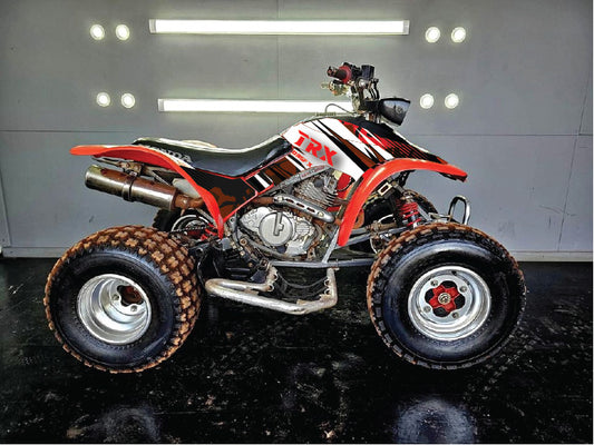 1993 - 2006 Honda TRX 300 EX Graphics Kit - Pro Ed D35-1