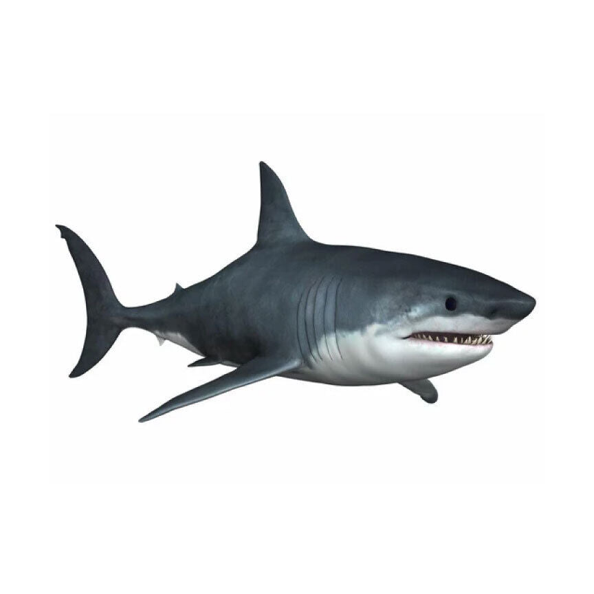 Great White Shark Decal  ~  Vinyl Car Wall Sticker - Small to XLarge D2