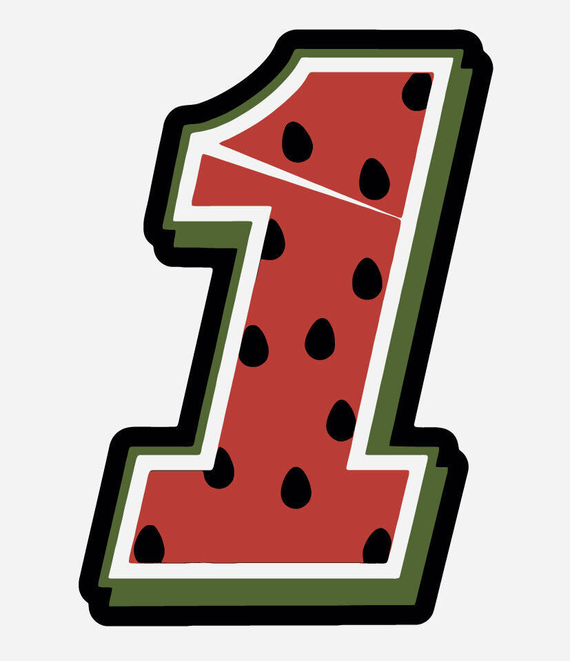 Nascar #1 Ross Chastain Decal  ~  Vinyl Car Wall Sticker - Small to XLarge