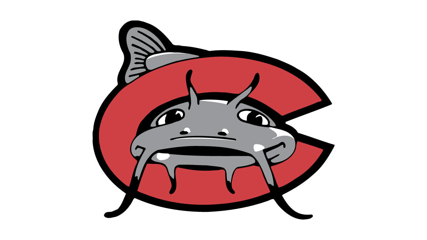 Carolina Mudcats Decal MiLB ~ Vinyl Car Wall Sticker D2