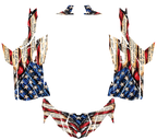 2016-2023 Can Am Maverick Trail 1000 USA Flag Graphics Kit USA Patriot