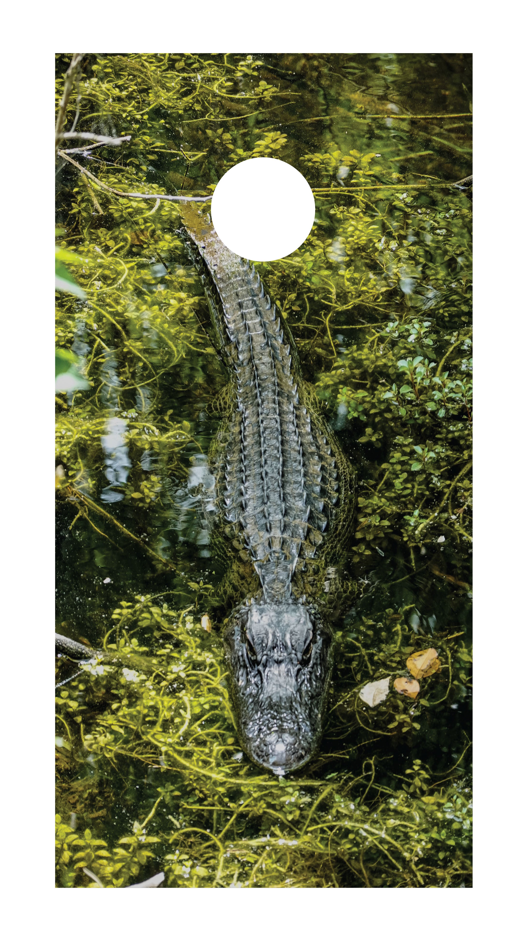 Alligator Cornhole Board Skins (Pair)
