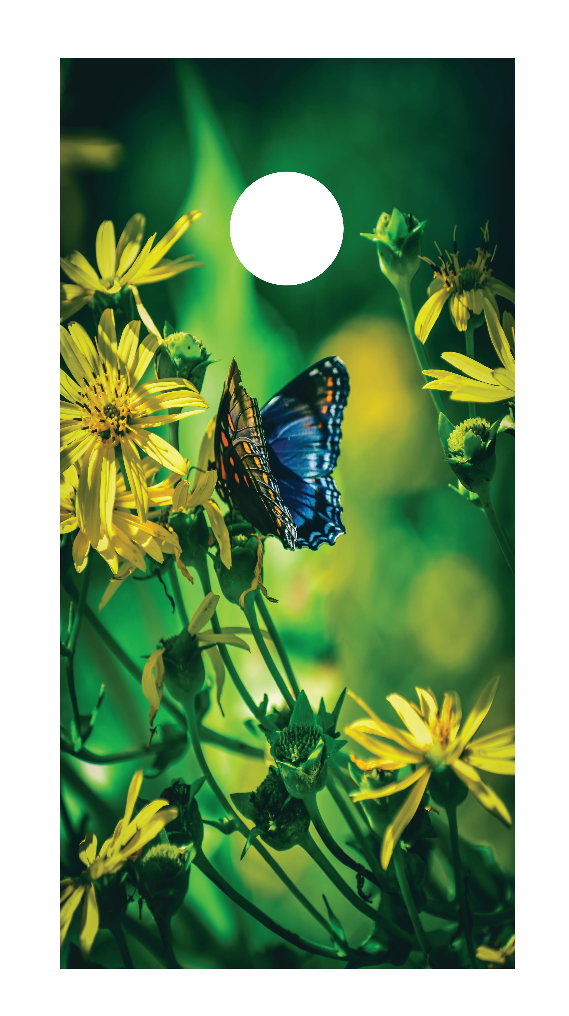 Butterfly Cornhole Board Skins (Pair)
