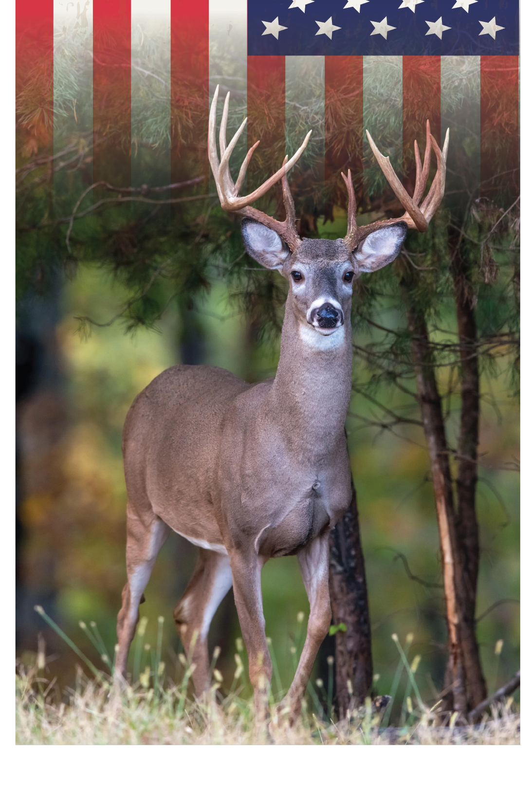 Deer \ Hunting Flag Cornhole Board Skins (Pair) D1