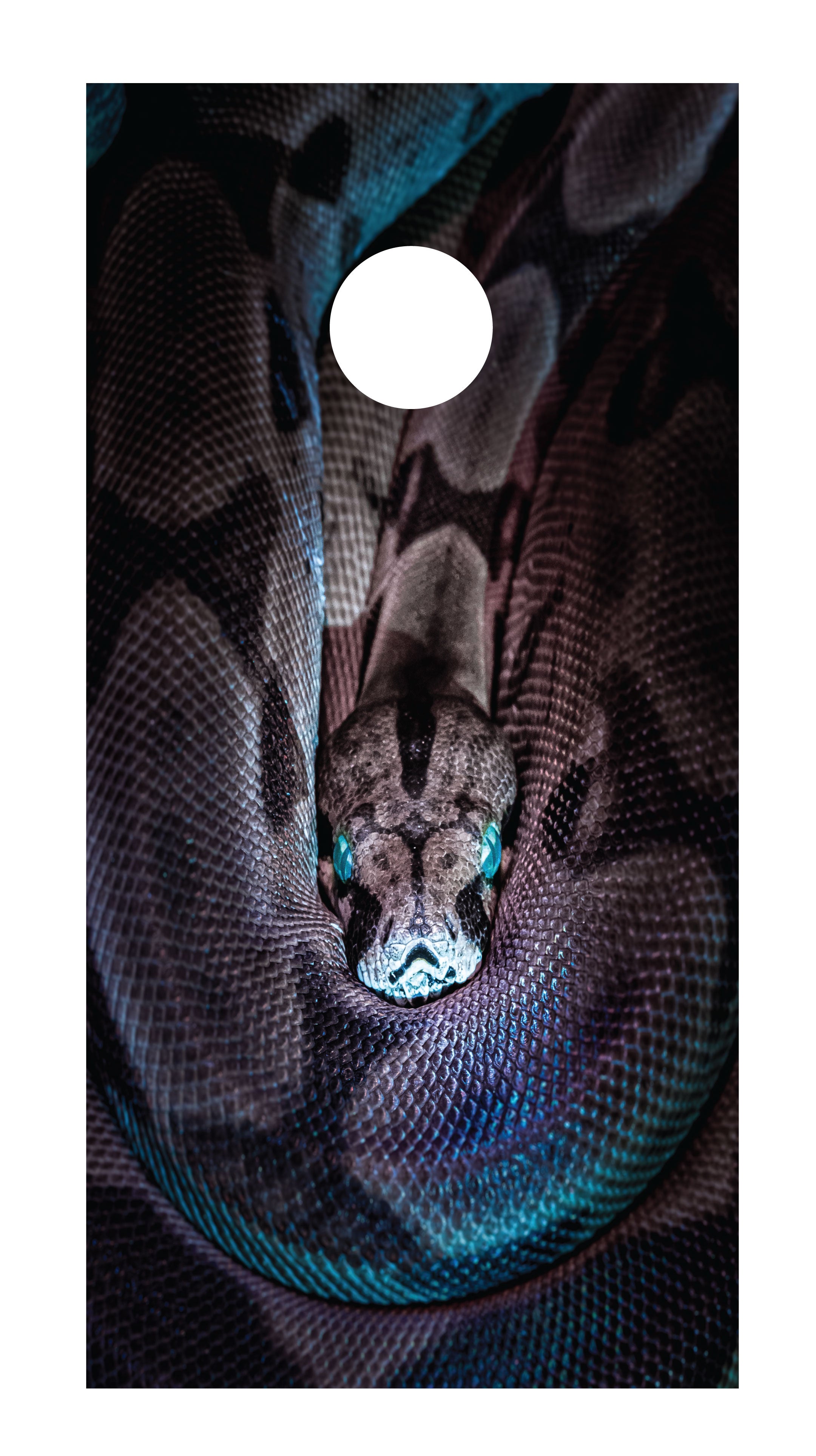 Python Cornhole Board Skins (Pair)