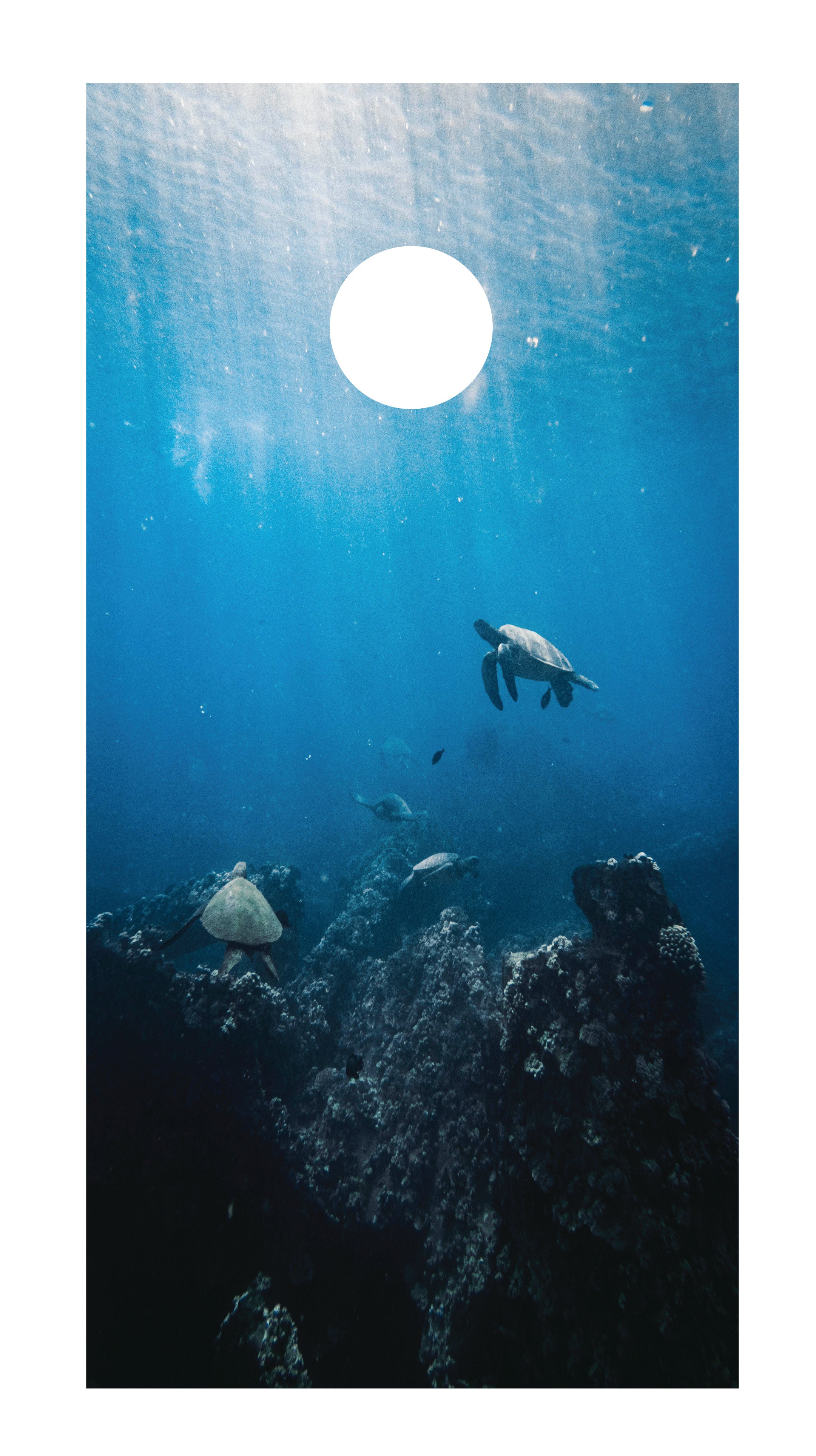 Sea Turtle Cornhole Board Skins (Pair) D3