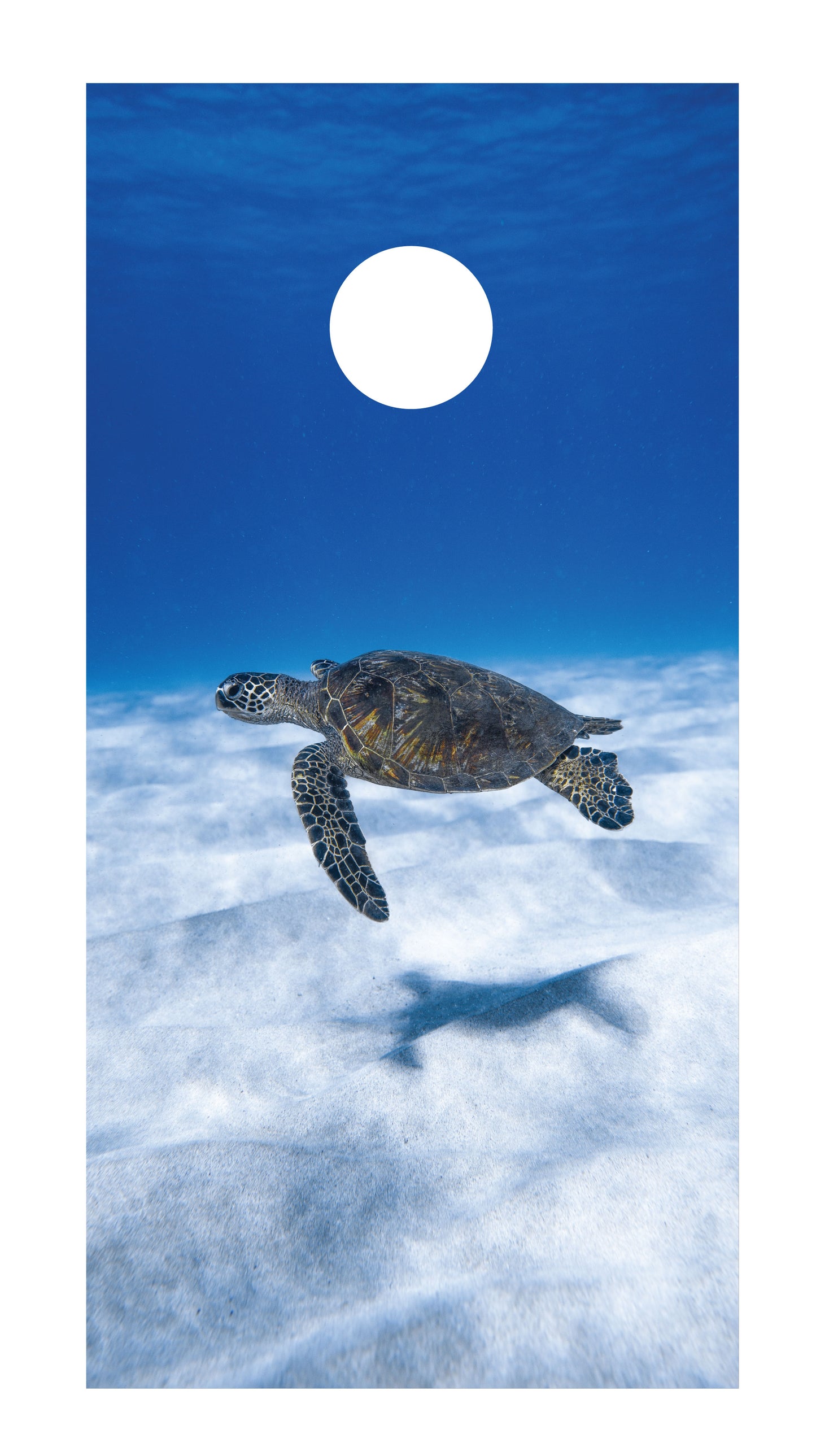 Sea Turtle Cornhole Board Skins (Pair) D2