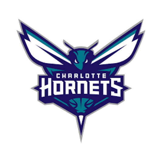 Charlotte Hornets Decal ~ Vinyl Car Wall Sticker - Small to XLarge