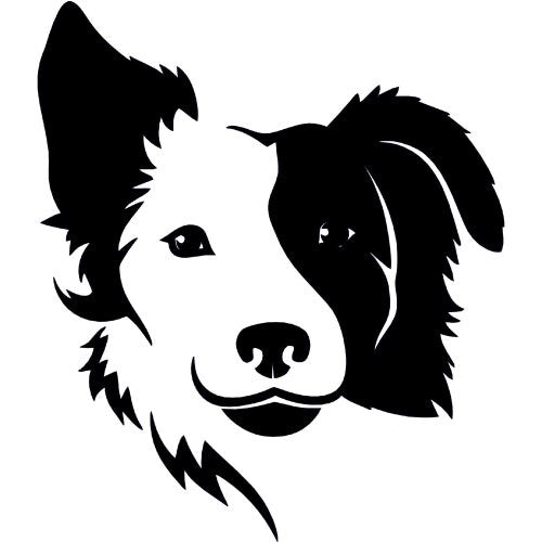 Border Collie Car - Truck - Wall Decal Large Print Available - Car Wall Decal Small to X Large Print